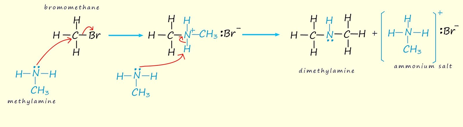 Mechanism for the reaction of a halogenalkane and an amine, nucleophilic substitution.